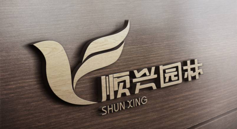 博兴县VI设计：城市品牌蝶变的核心引擎